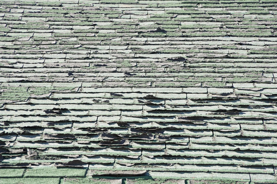 Asphalt shingle roof used to explain why power washing can shorten roof life