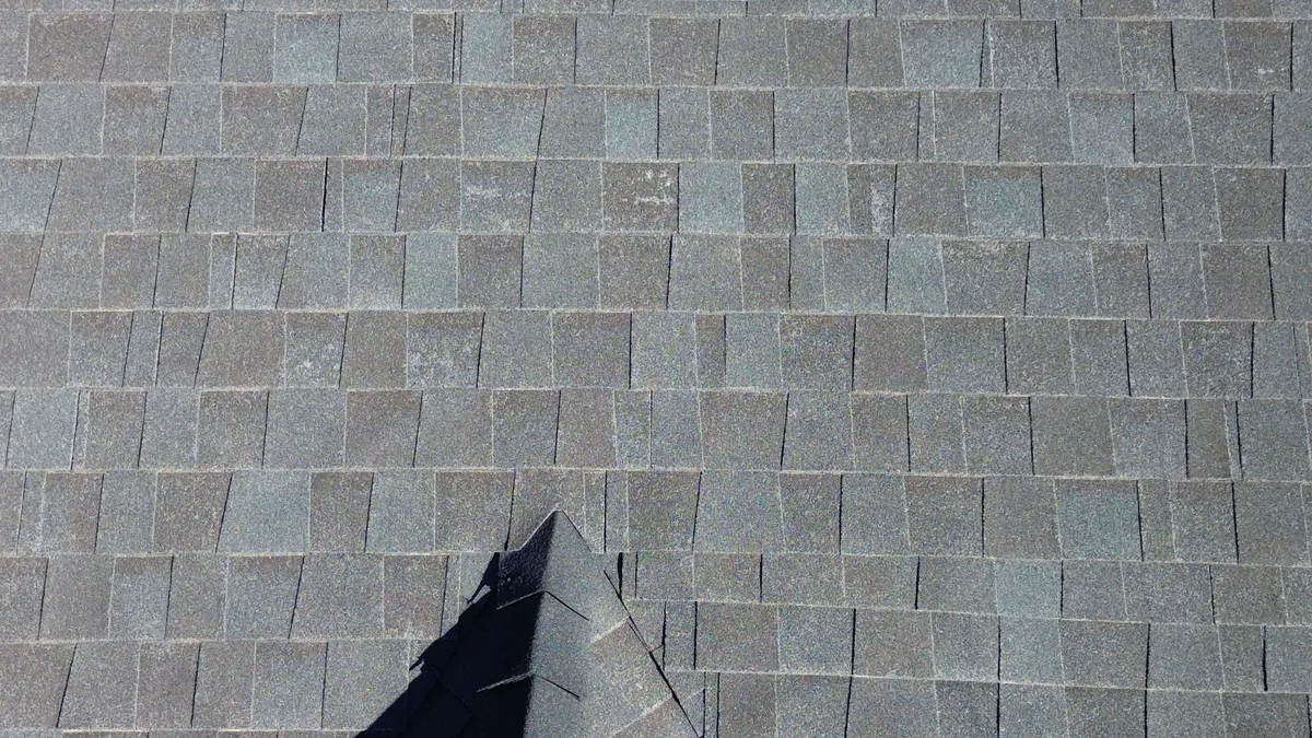 Problem roof area where moisture retention and visible wear indicate more than a cosmetic issue